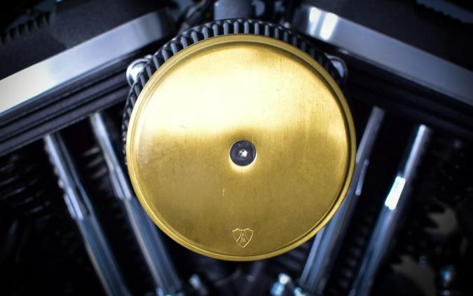 2021 Harley-Davidson Iron 883