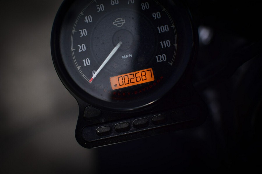 2021 Harley-Davidson Iron 883