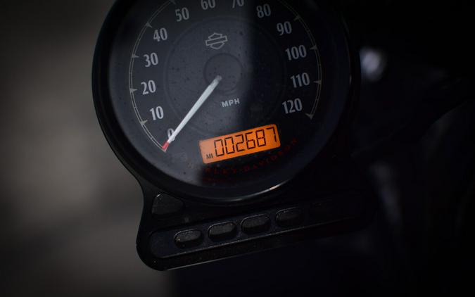 2021 Harley-Davidson Iron 883