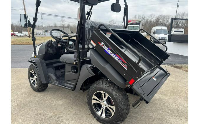 2021 TrailMaster TAURUS 200 UTV
