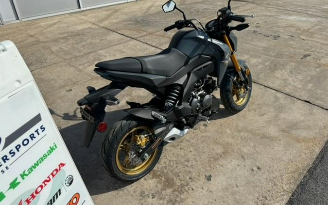 2024 Kawasaki Z125 Pro Metallic Matte Dark Gray