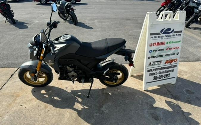 2024 Kawasaki Z125 Pro Metallic Matte Dark Gray