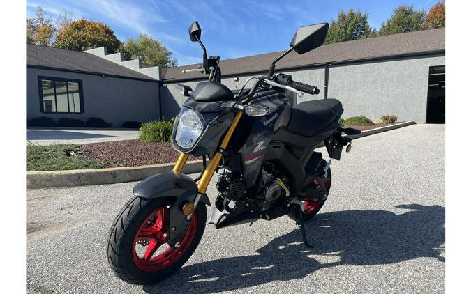 2024 Kawasaki Z125 Pro