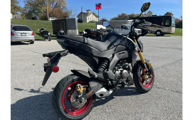 2024 Kawasaki Z125 Pro