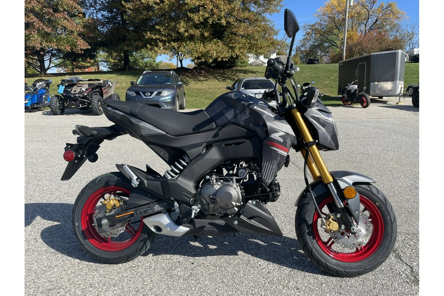 2024 Kawasaki Z125 Pro