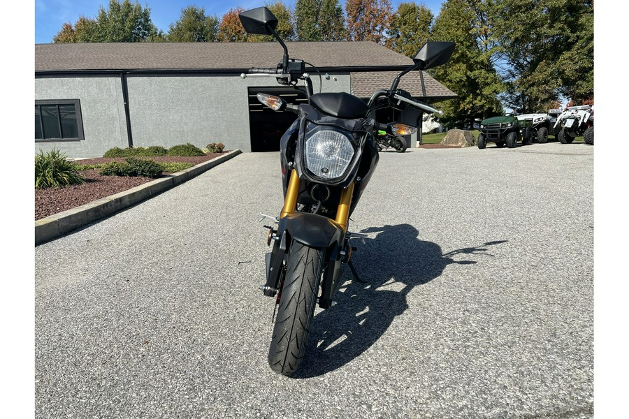 2024 Kawasaki Z125 Pro