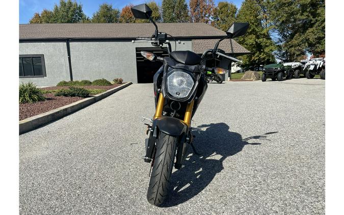 2024 Kawasaki Z125 Pro