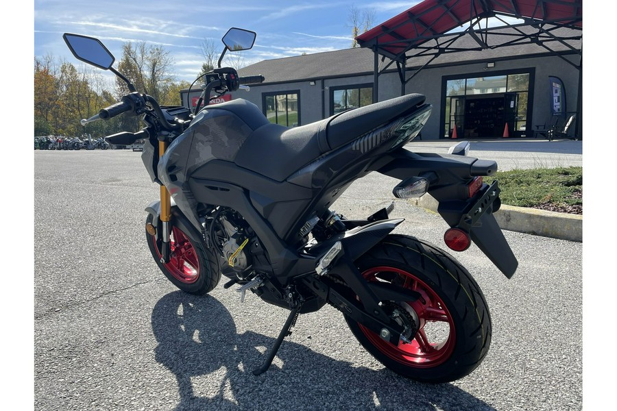 2024 Kawasaki Z125 Pro