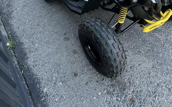 2025 Can-Am® Renegade 110 EFI