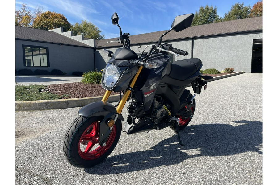 2024 Kawasaki Z125 Pro