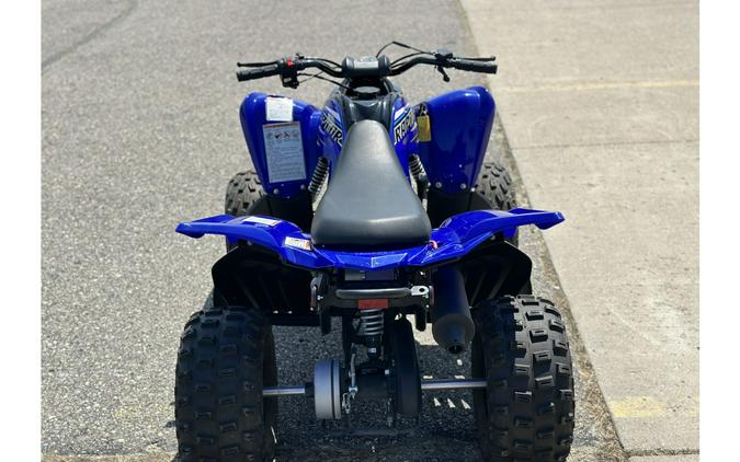 2022 Yamaha RAPTOR 90