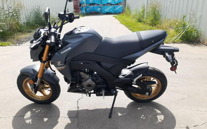 2024 Kawasaki Z125 PRO Base