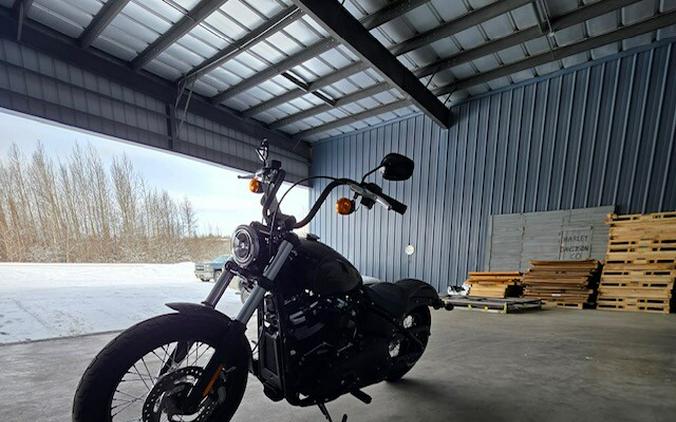 2020 Harley-Davidson® Street Bob®