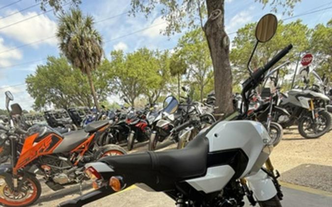 2025 Honda Grom ABS