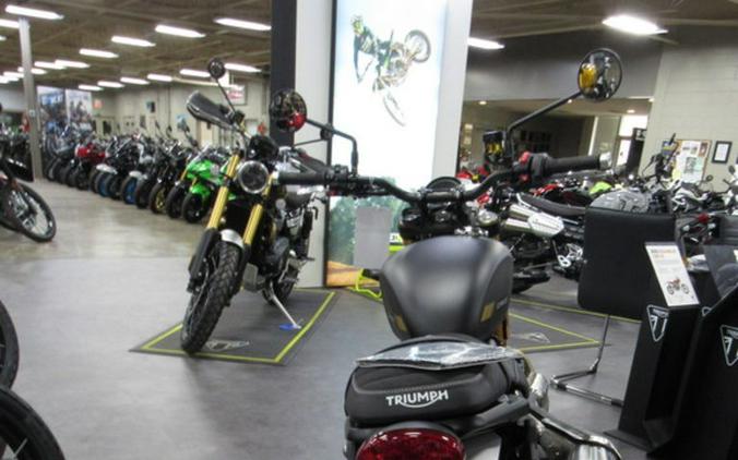 2026 Triumph Scrambler 900 Matt khaki green