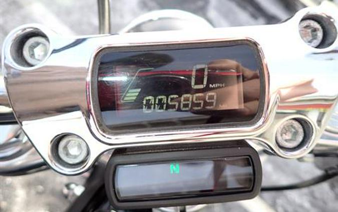 2020 Harley-Davidson Softail® Standard