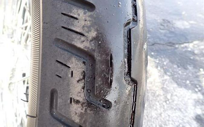 2020 Harley-Davidson Softail® Standard