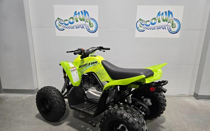 2026 Yamaha Motor Corp., USA Raptor 110