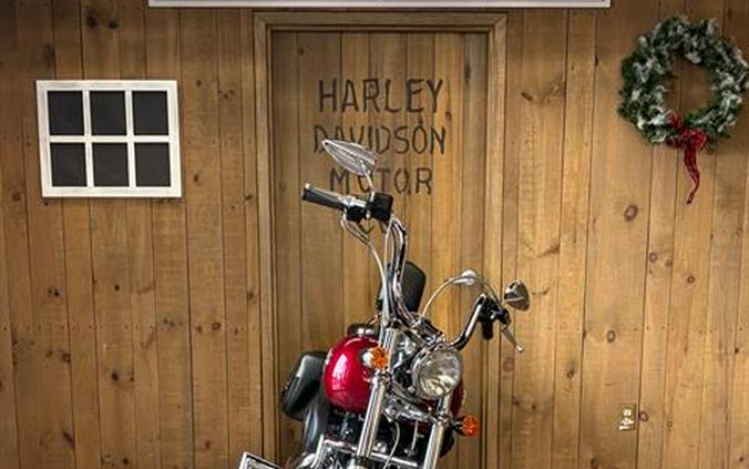 2004 Harley-Davidson FXSTB/FXSTBI Softail® Night Train®