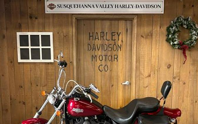 2004 Harley-Davidson FXSTB/FXSTBI Softail® Night Train®