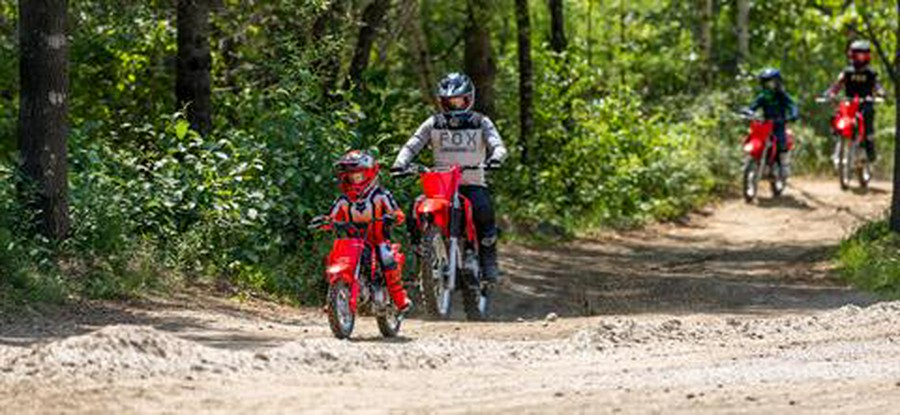 2027 Honda CRF50F