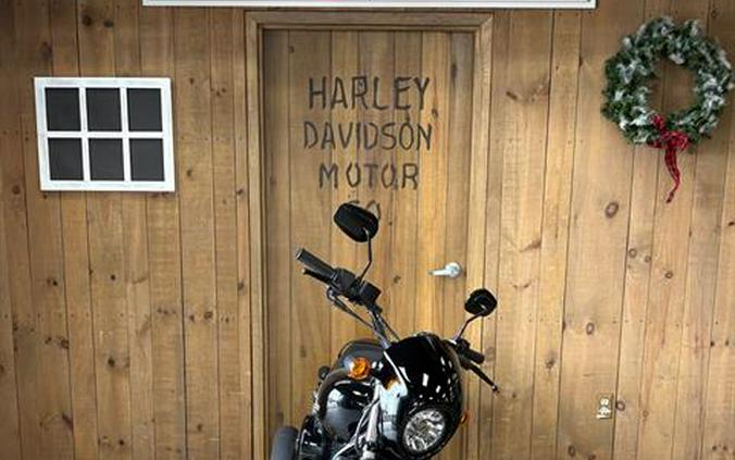 2017 Harley-Davidson Street® 750