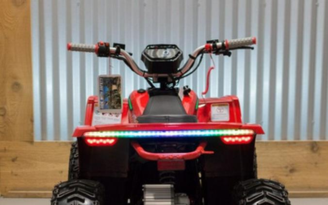 2026 Denago Powersports E-Hawk 6