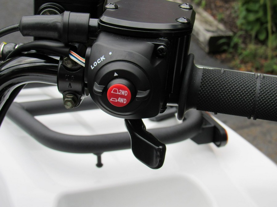 2025 Kawasaki Brute Force 450 4x4