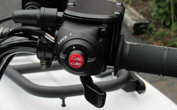 2025 Kawasaki Brute Force 450 4x4