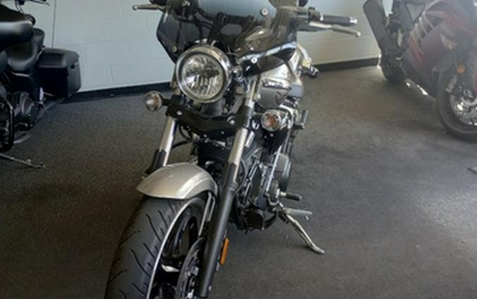 2009 Yamaha Raider