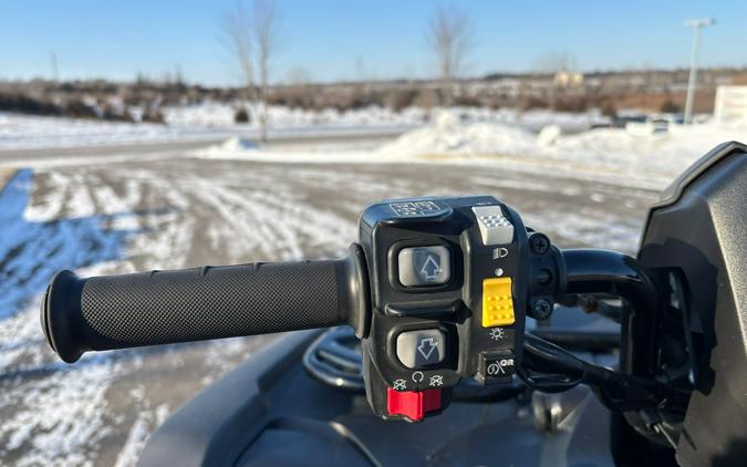 2019 Honda FourTrax Foreman Rubicon 4x4 Automatic DCT EPS Deluxe