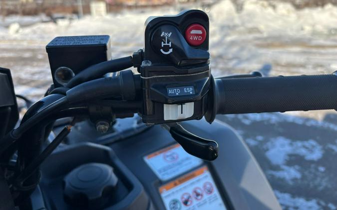 2019 Honda FourTrax Foreman Rubicon 4x4 Automatic DCT EPS Deluxe