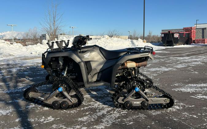 2019 Honda FourTrax Foreman Rubicon 4x4 Automatic DCT EPS Deluxe