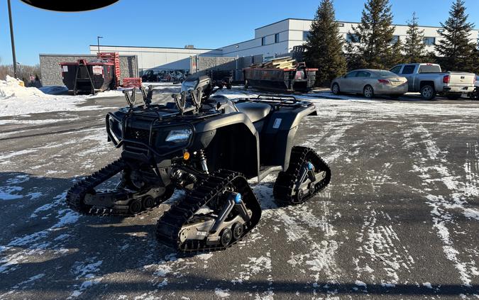 2019 Honda FourTrax Foreman Rubicon 4x4 Automatic DCT EPS Deluxe