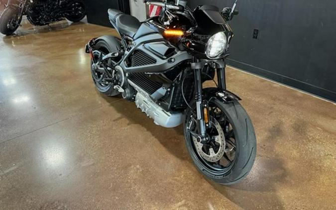 2020 Harley-Davidson® ELW - LiveWire™