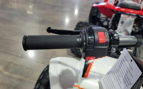 2026 Kayo Storm 300 EFI
