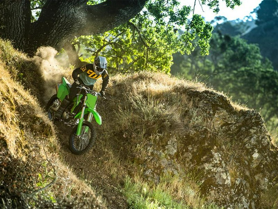 2024 Kawasaki KLX®300R