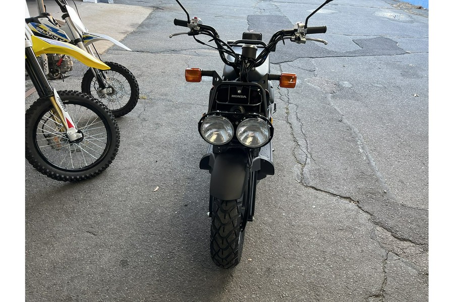 2024 Honda Ruckus