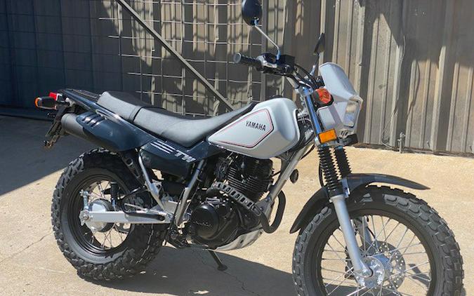 2024 Yamaha TW 200 GALLANT GRAY