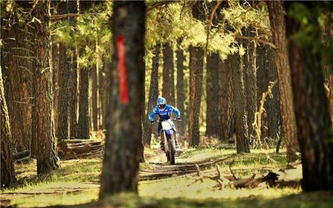 2019 Yamaha YZ250FX