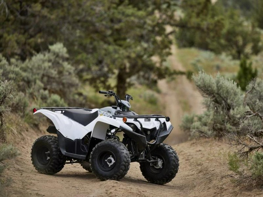 2024 Yamaha Grizzly 90