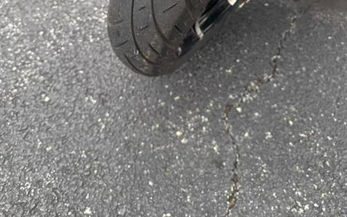 2021 Indian Motorcycle Roadmaster® Dark Horse®