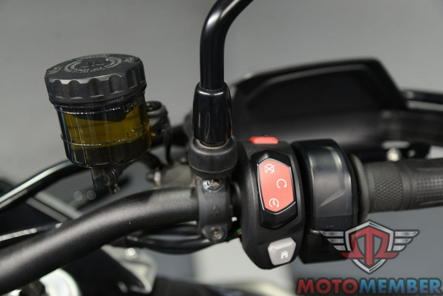 2023 Triumph Tiger 900 Rally Pro