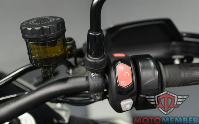 2023 Triumph Tiger 900 Rally Pro