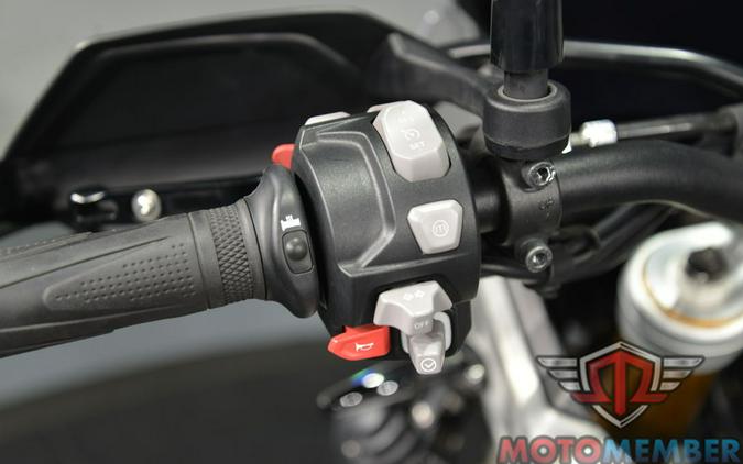 2023 Triumph Tiger 900 Rally Pro