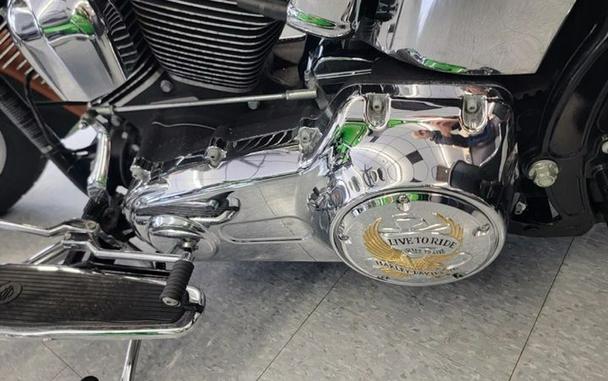 2008 Harley-Davidson FLSTN Softail Deluxe