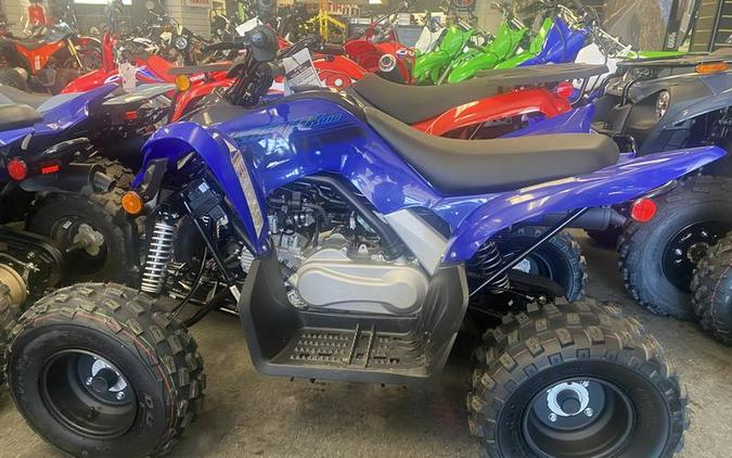 2024 Yamaha Raptor 110