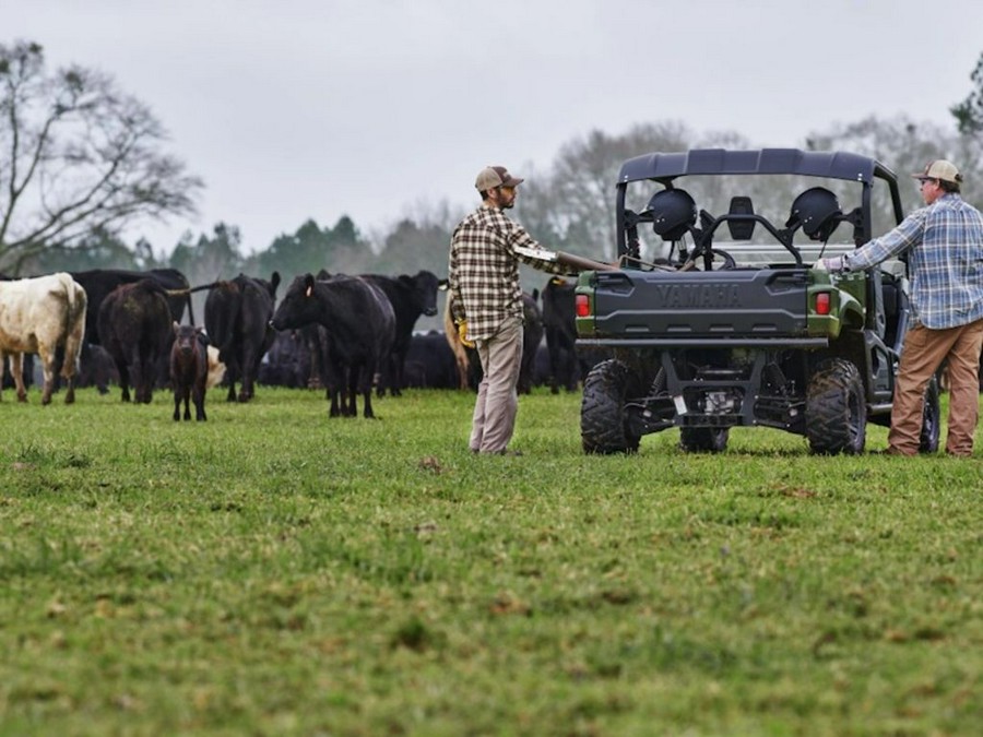 2025 Yamaha Viking EPS