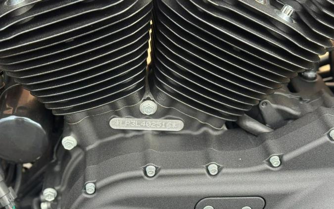 2020 Harley-Davidson XL1200NS Sportster Iron 1200