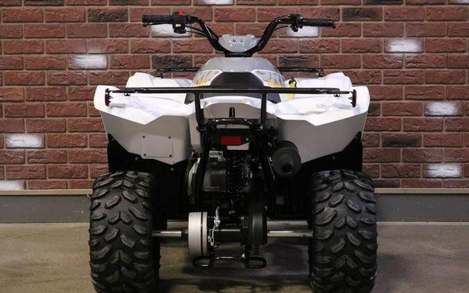 2024 Yamaha Grizzly 90